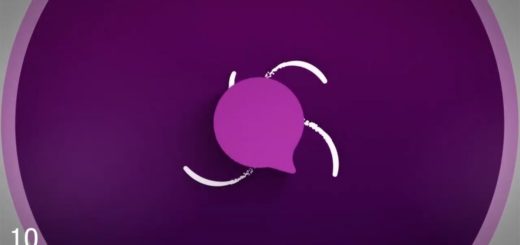 톱-10-무료-간단한-로고-소개-프리미어-인트로-템플릿 10