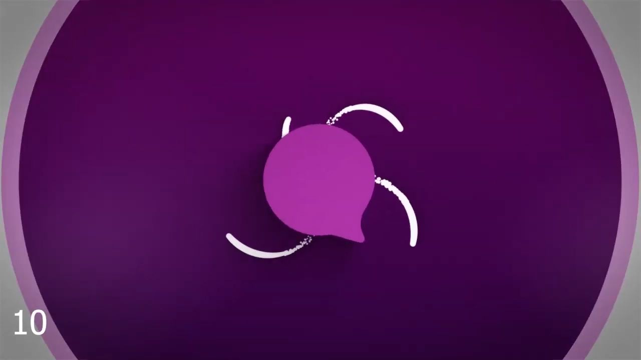 톱-10-무료-간단한-로고-소개-프리미어-인트로-템플릿 10