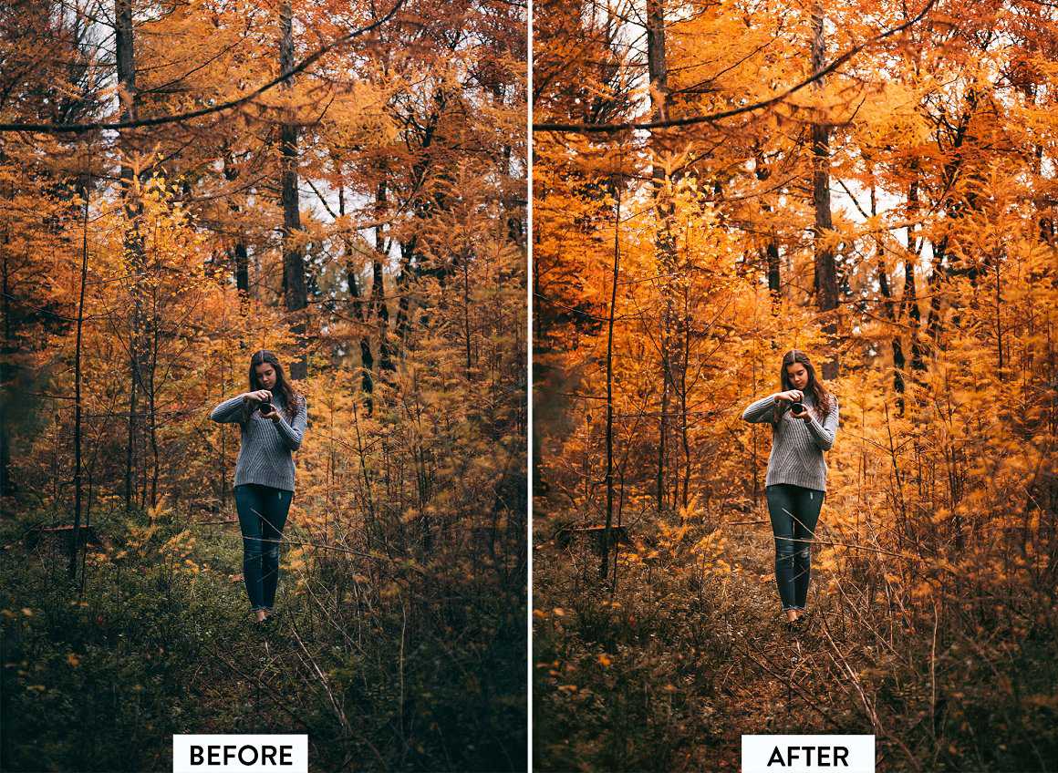 Autumn Lightroom Presets Motion