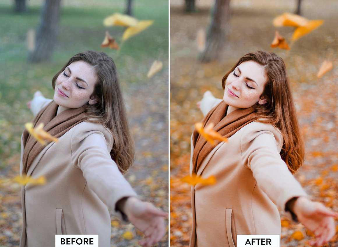 fall color presets for lightroom